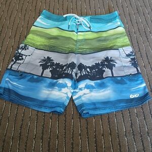 Nike 6.0 Palm Tree Design / Landscape Board Shorts Men's Size 32